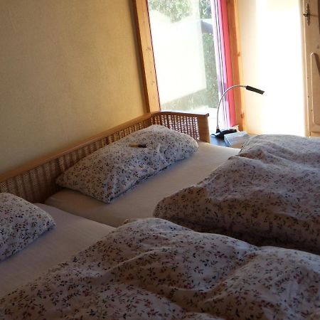 Blaues Haus - Une Maison Bleue Hetzerath エクステリア 写真
