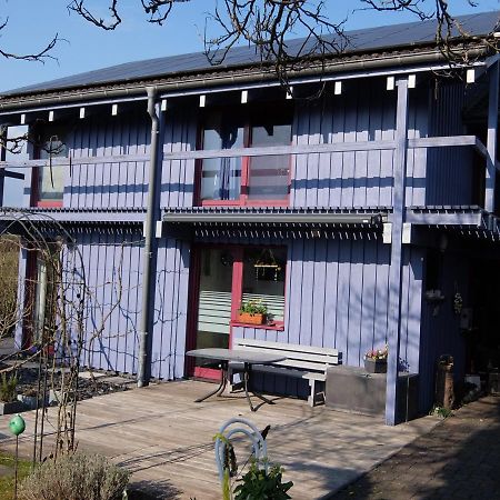 Blaues Haus - Une Maison Bleue Hetzerath エクステリア 写真