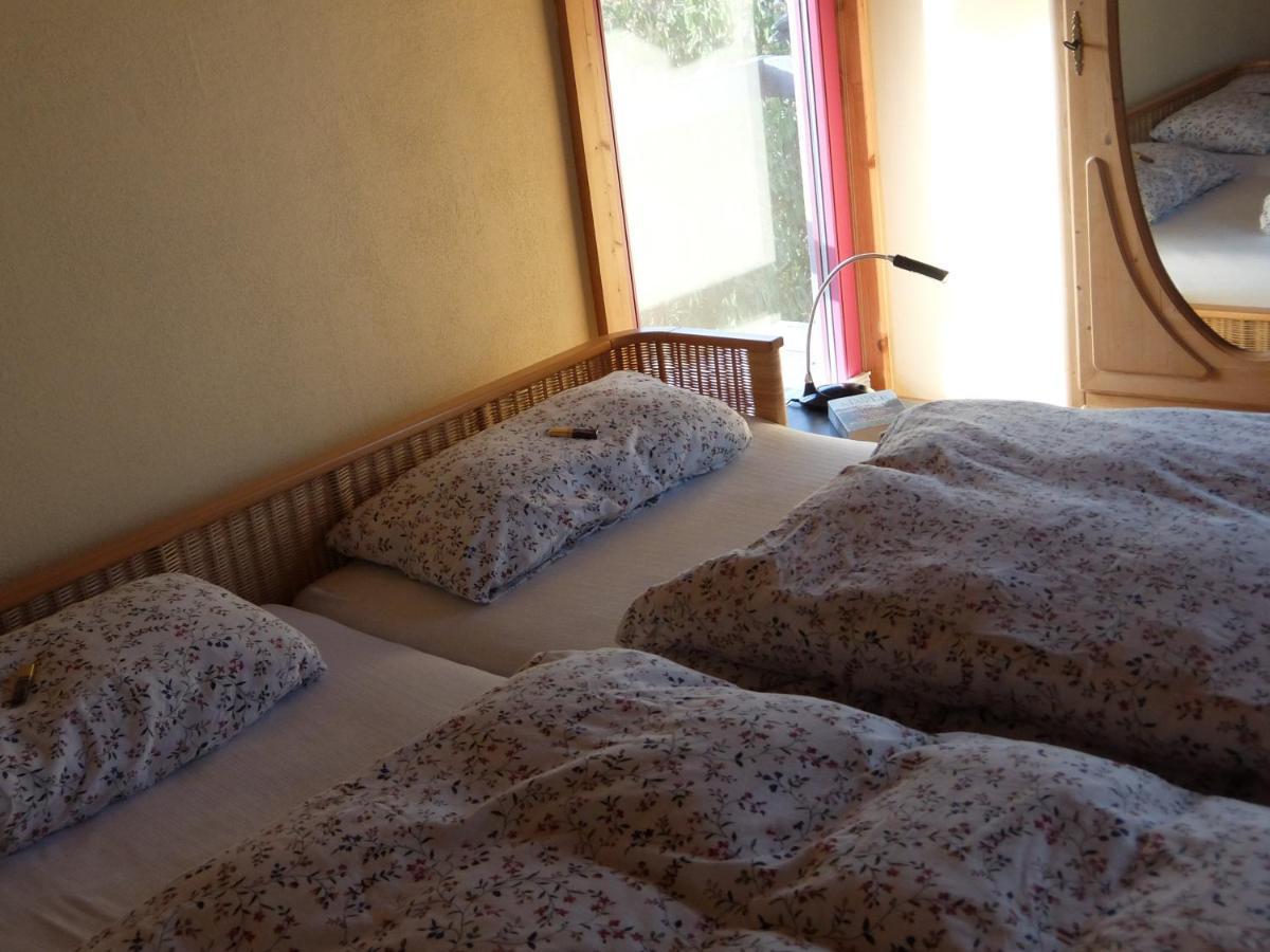 Blaues Haus - Une Maison Bleue Hetzerath エクステリア 写真