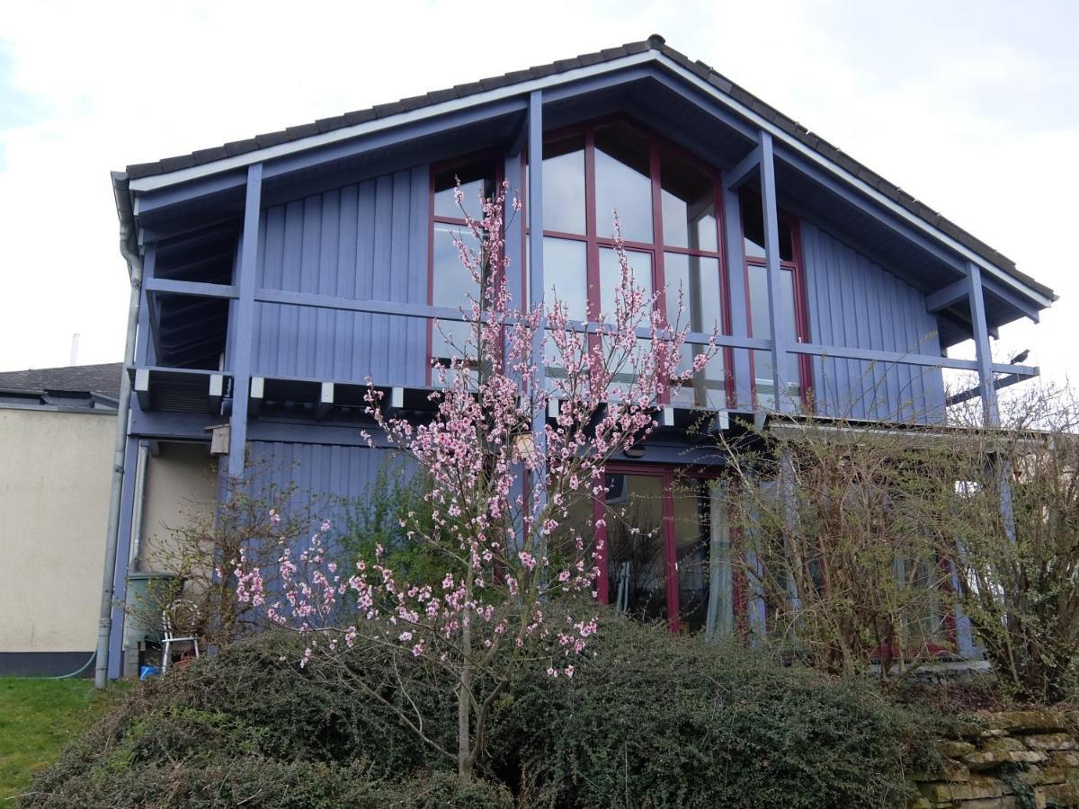 Blaues Haus - Une Maison Bleue Hetzerath エクステリア 写真